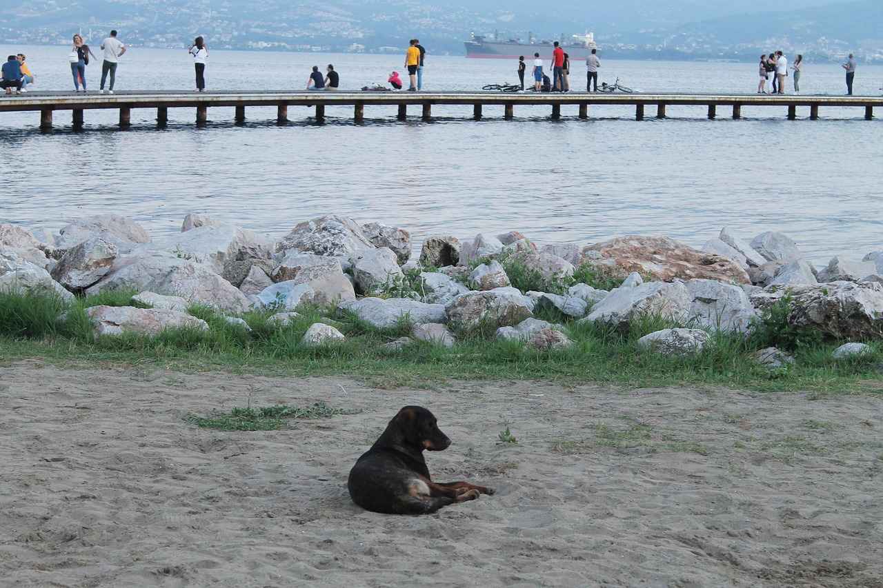 Çocuklar için Basit Kumaş Boyama Projeleri