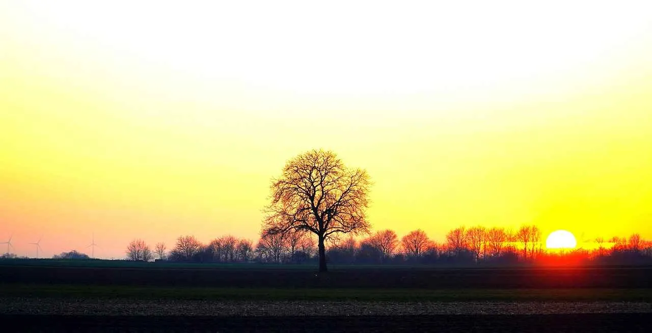 Kumaş Boyası Kullanarak Evinizi Renklendirin Kumaş Boyası Kullanarak Evinizi Renklendirin