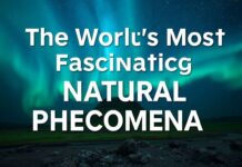 Dünyanın En İlginç Doğal Olayları The World's Most Fascinating Natural Phenomena