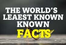 Dünyanın En Çok Bilinmeyen Gerçekleri The World's Least Known Facts