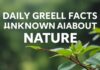 Günlük Yeşil Hayat Tarzı: Doğaya Dair Bilinmeyenler Daily Green Lifestyle: Unknown Facts About Nature