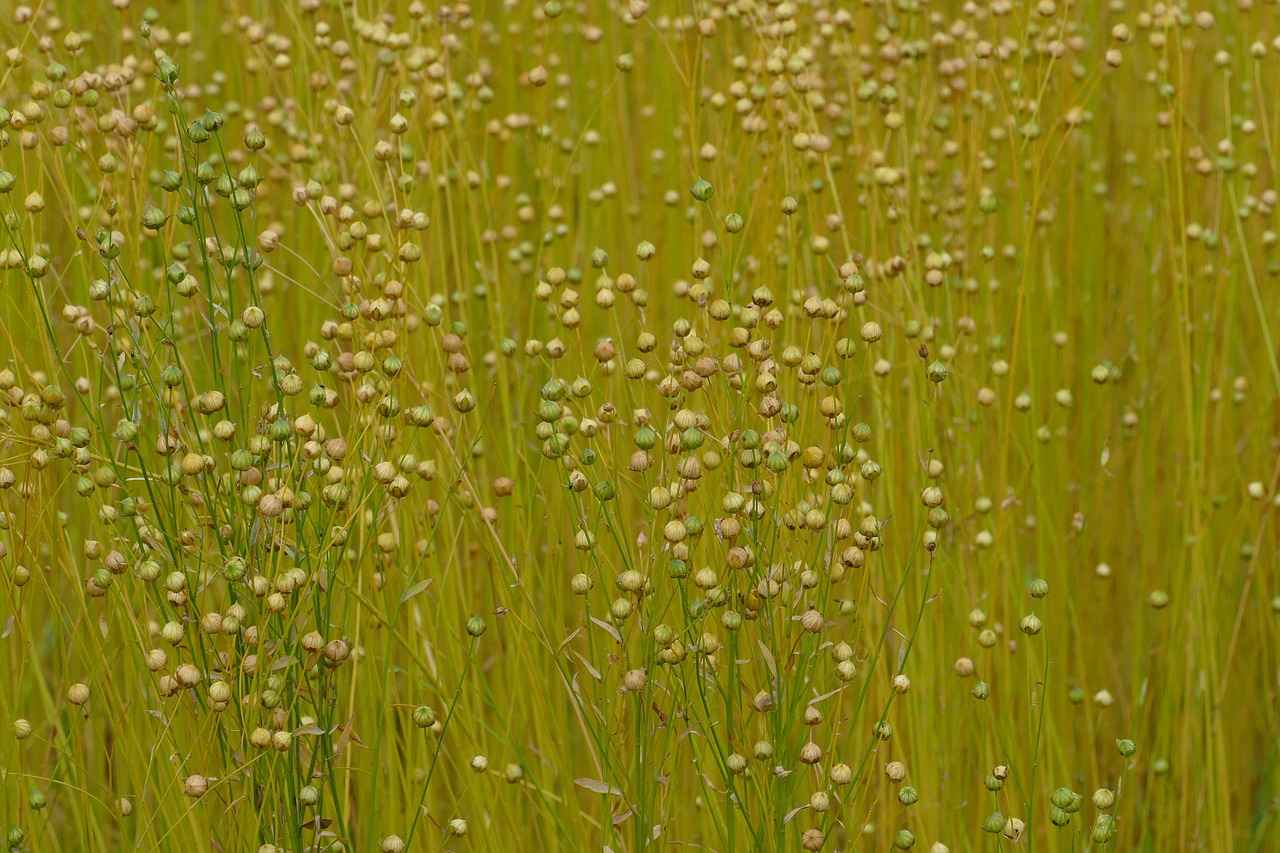 Kumaş Boyası Nedir?