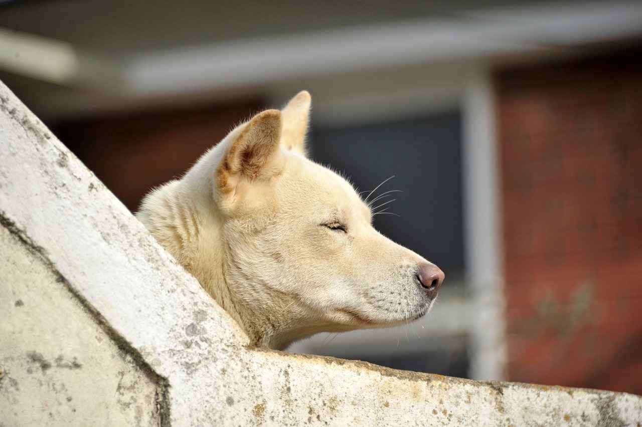 Ekolojik ve Sürdürülebilir Uygulamalar