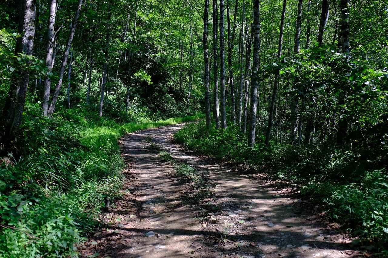 Kumaş Boyama Teknikleri