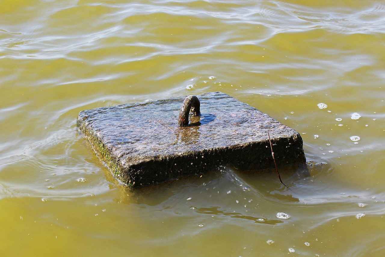 Doğal Boya Elde Etme Yöntemleri