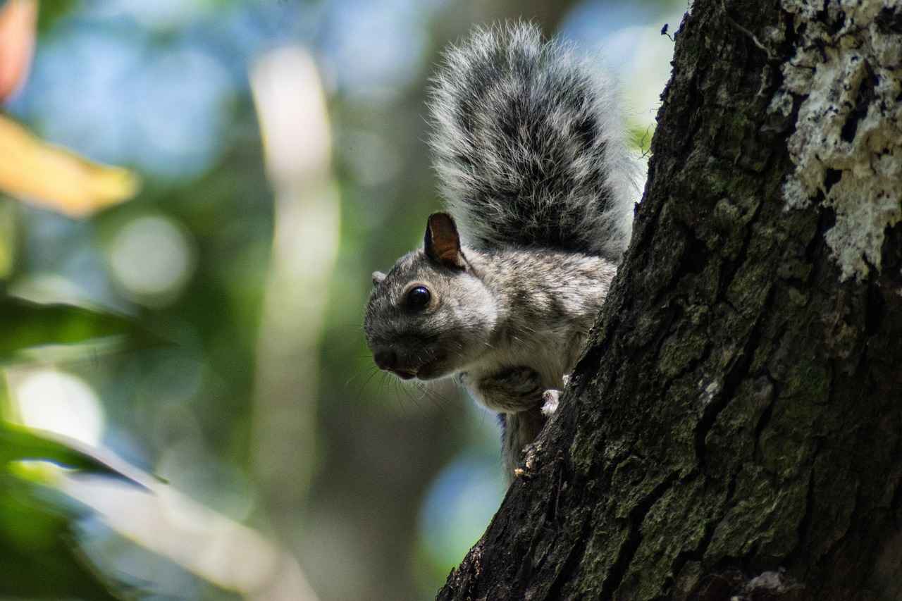 Kumaş Boyası ile El Yapımı Düğün Hediyeleri
