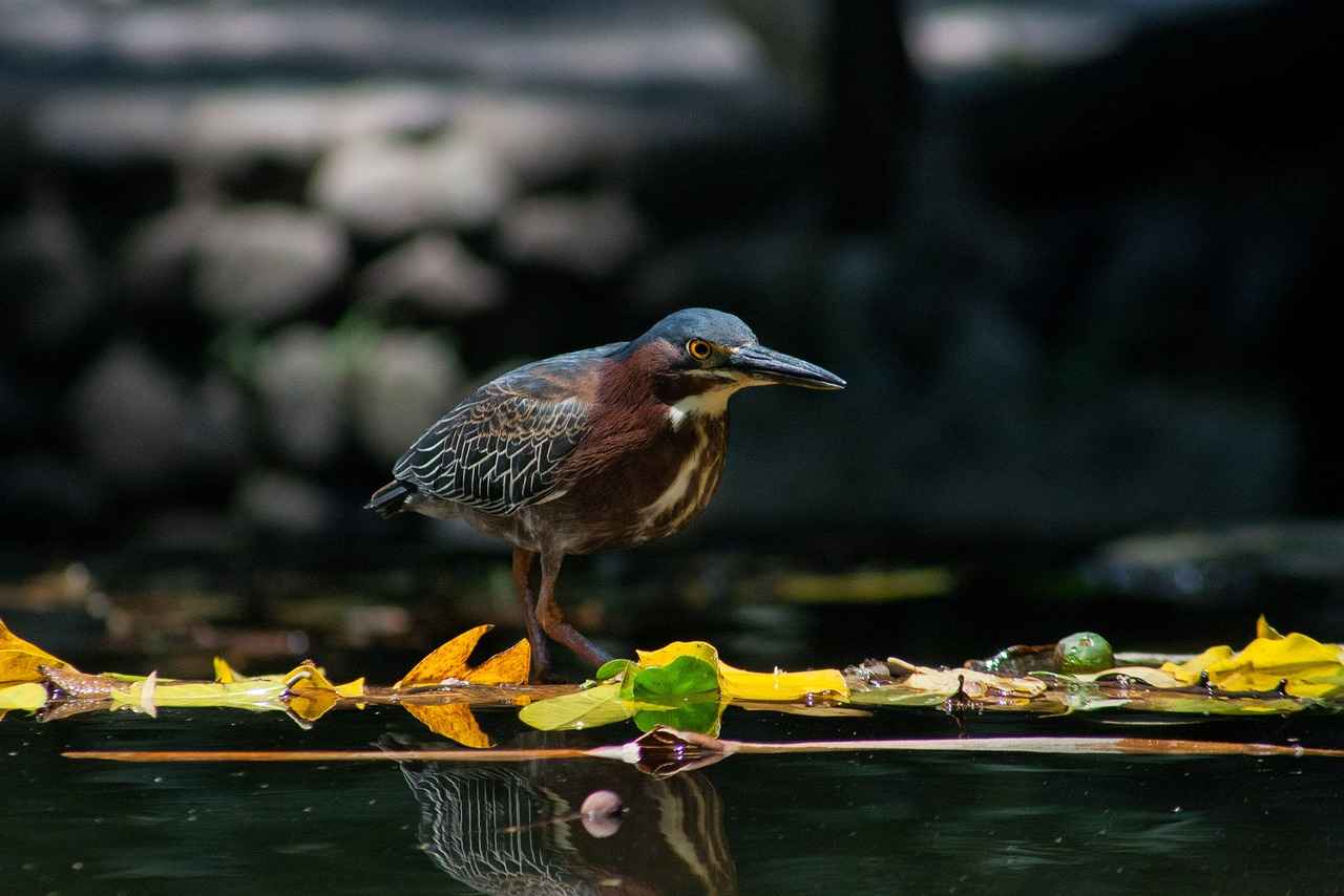 Kumaş Boyası ile Hediye Fikirleri