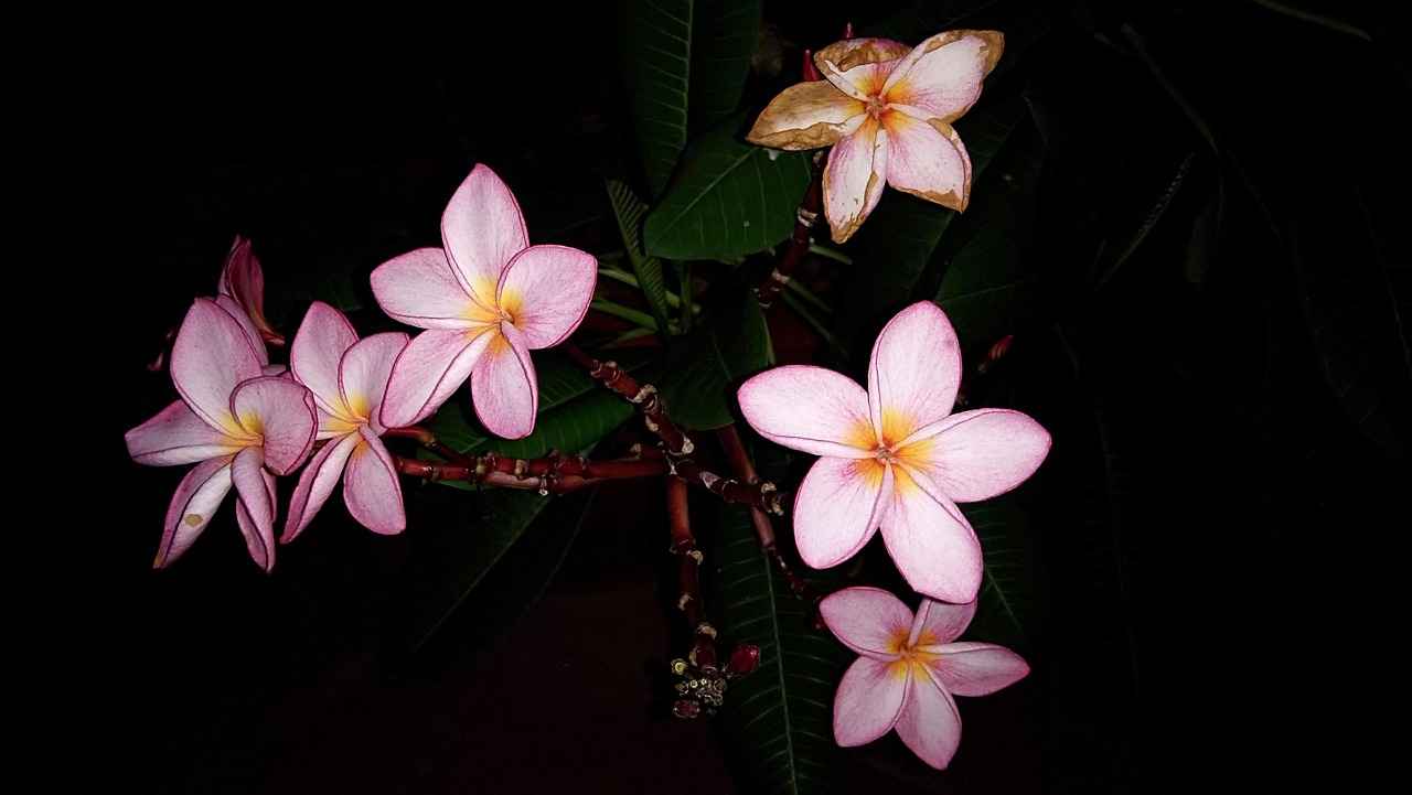 Kumaş Boyama İçin Gerekli Malzemeler