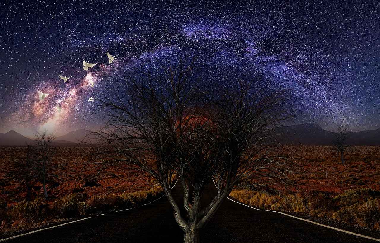 Kumaş Boyası ile Yaratıcı Projeler