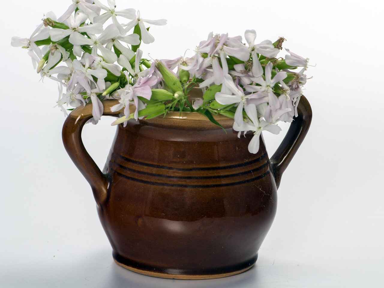 Tasarımlarınızı Satışa Sunma