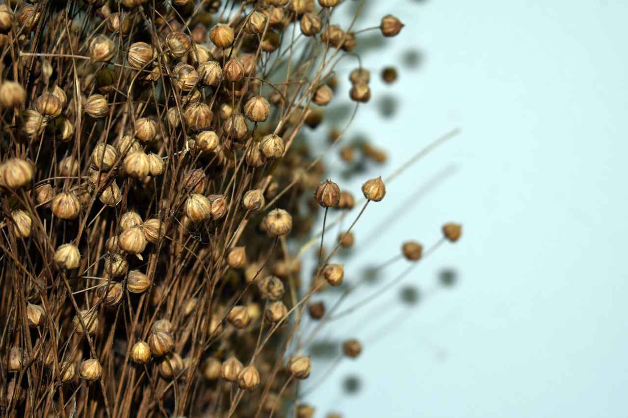 Kumaş Boyası Nedir?