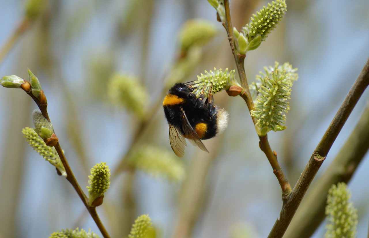 Kendi Renkli Şalınızı Nasıl Yaparsınız?