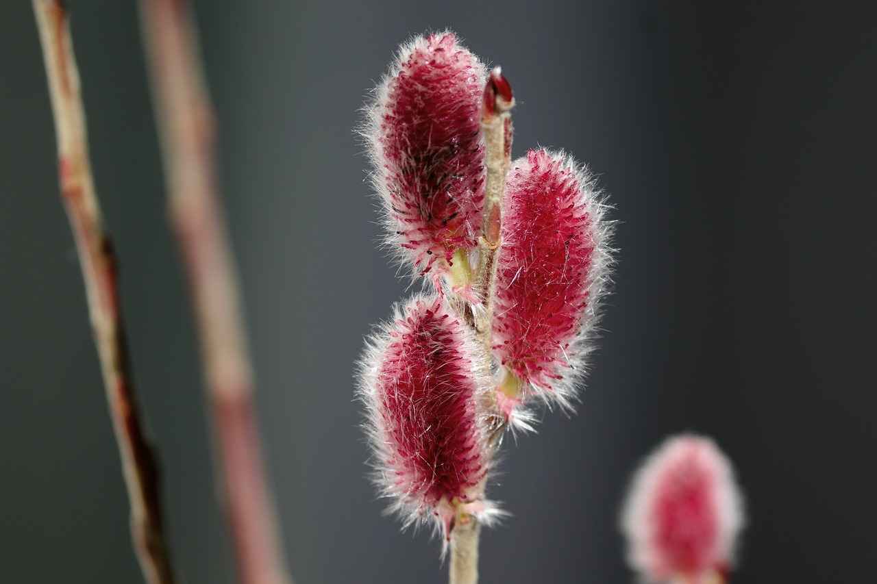 Sonuç ve İlham Verici Öneriler