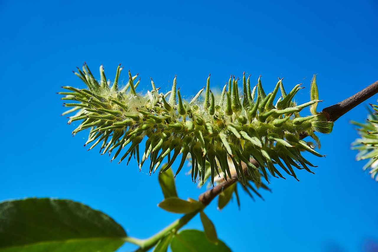 Kumaş Boyası Türleri