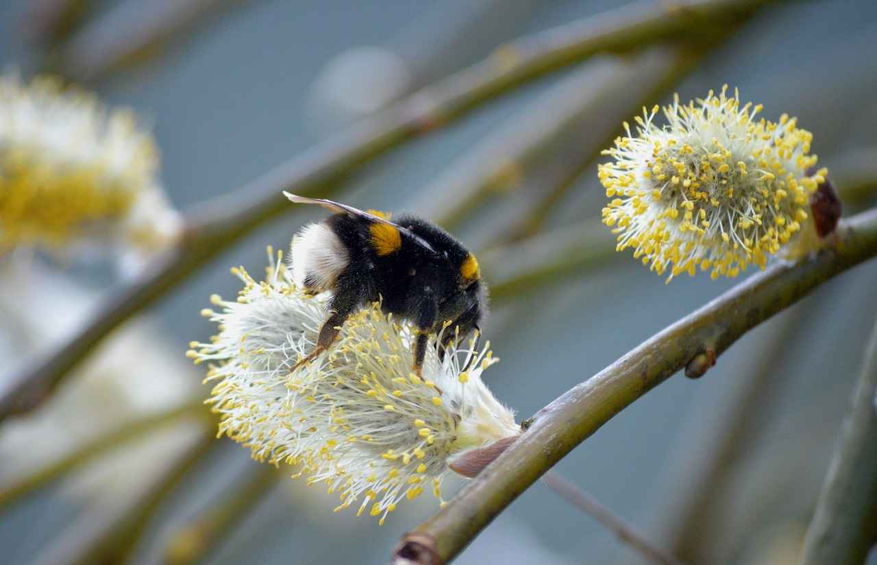 Kumaş Boyama Teknikleri