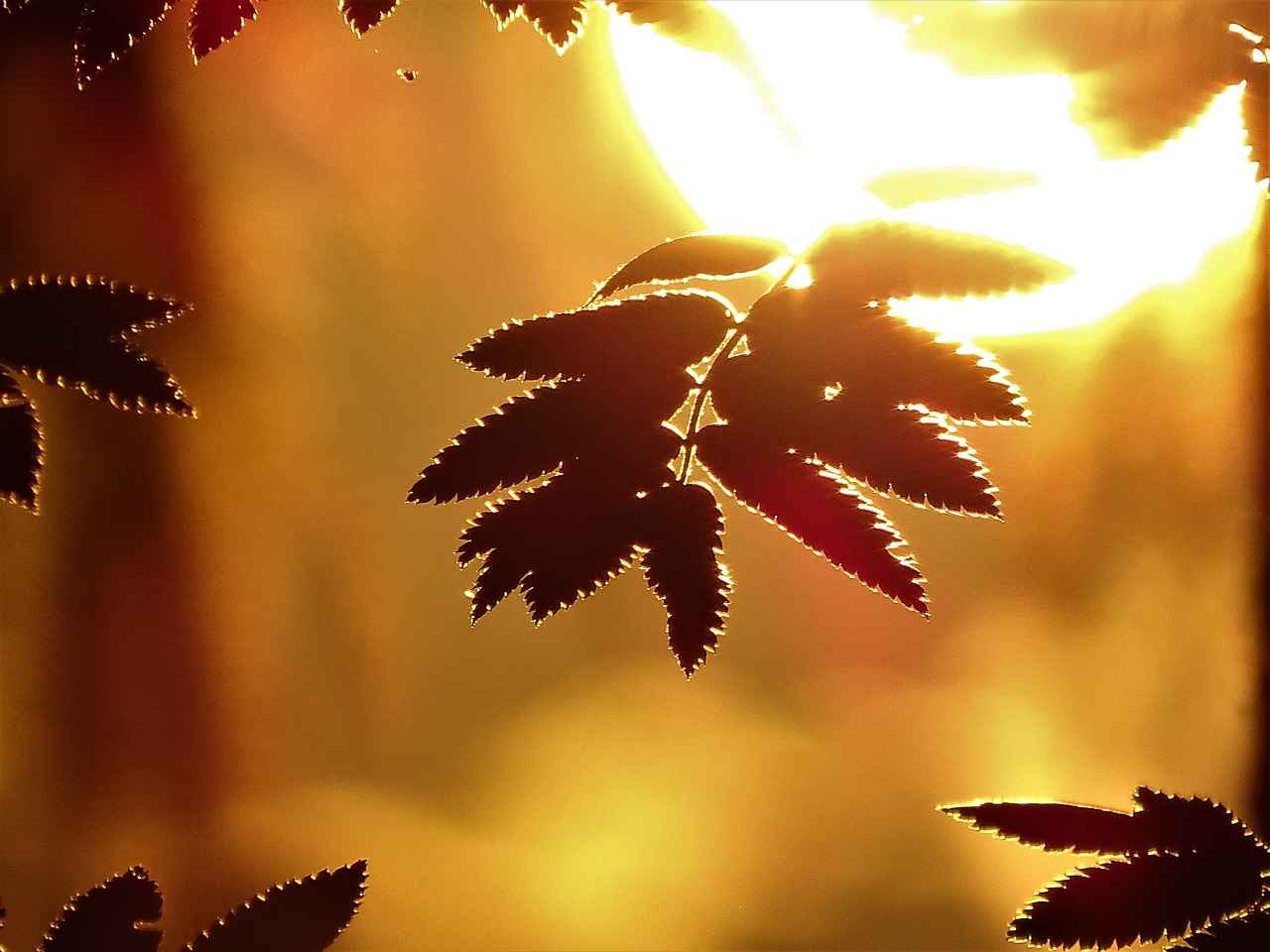 Sonuç ve İpuçları