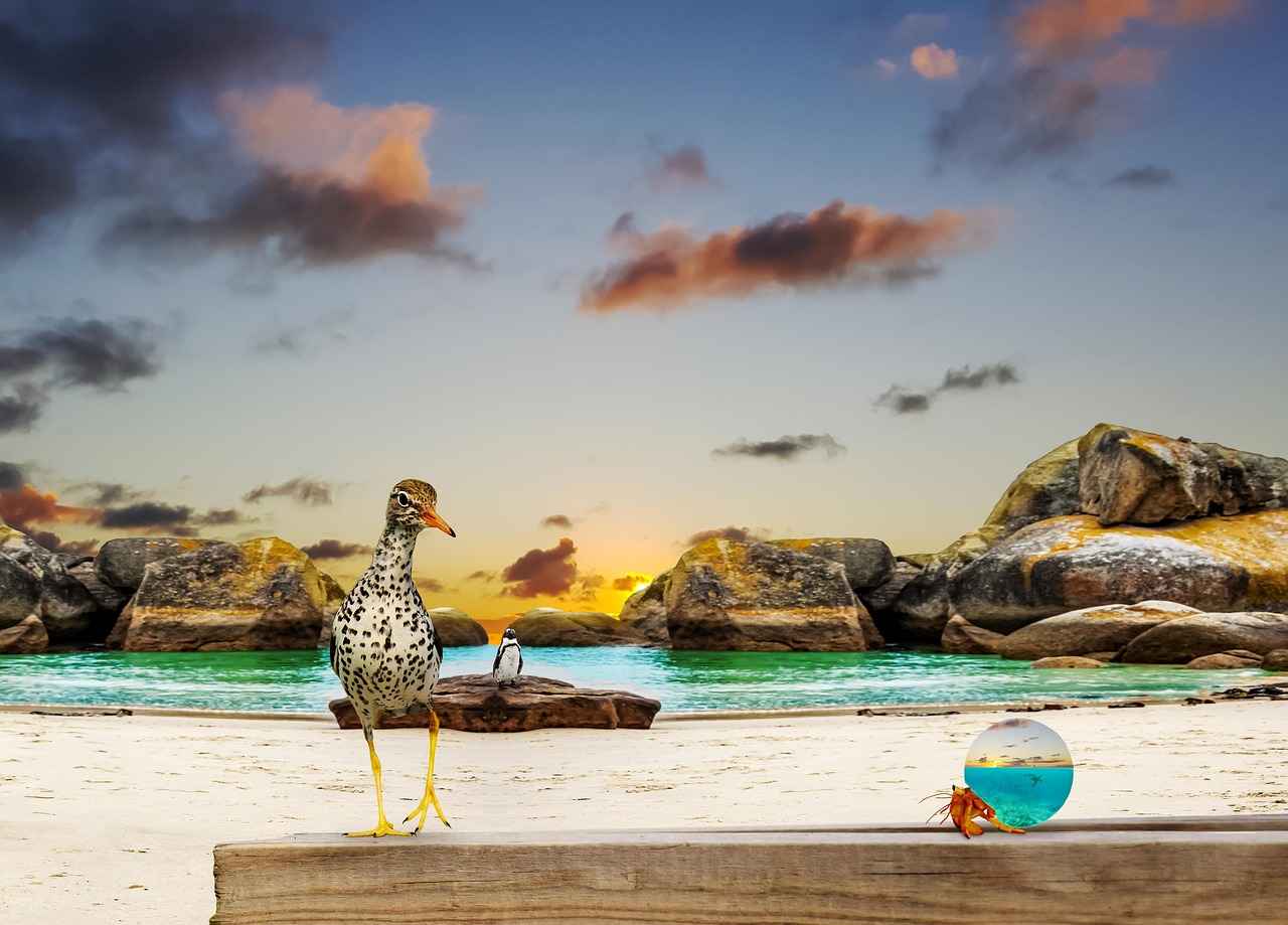 Kumaş Boyası ile Yaratıcı Kendi Kıyafetlerinizi Yapın