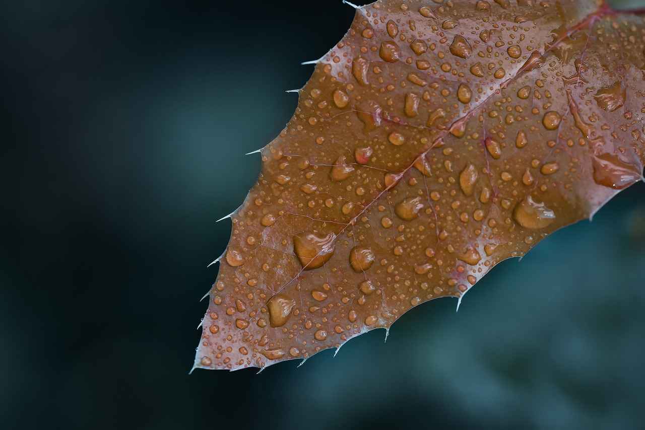 Kumaş Boyası Türleri